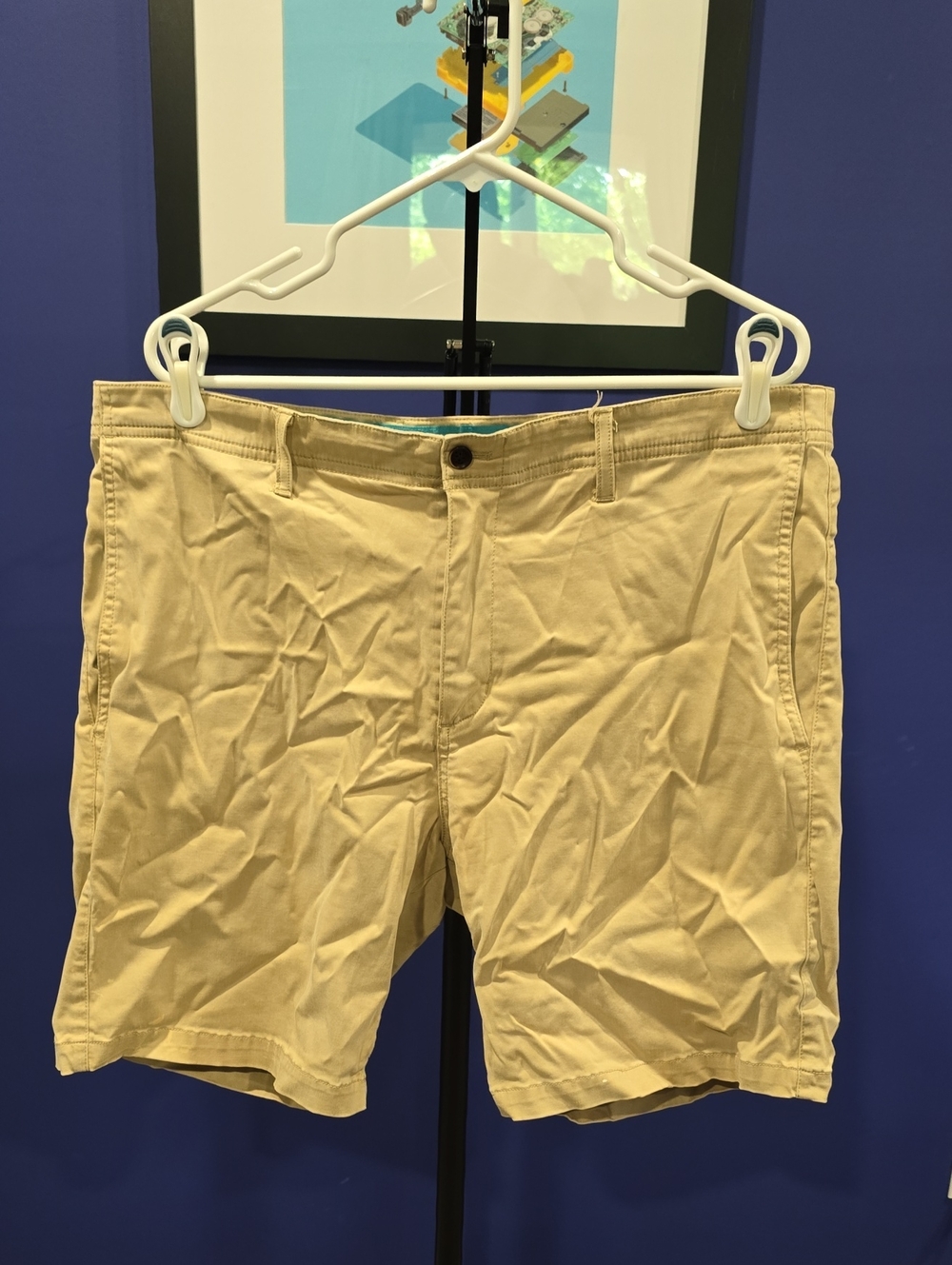 Tori Richard Chino Shorts